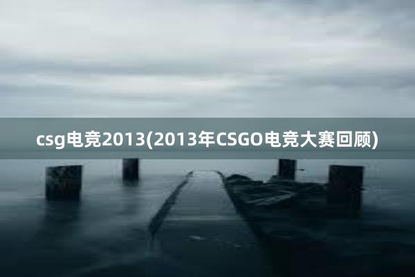 csg电竞2013(2013年CSGO电竞大赛回顾)