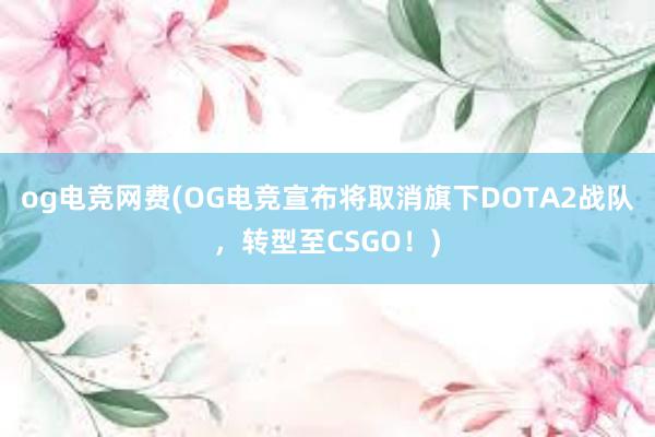 og电竞网费(OG电竞宣布将取消旗下DOTA2战队，转型至CSGO！)