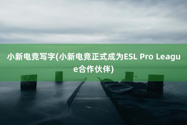 小新电竞写字(小新电竞正式成为ESL Pro League合作伙伴)