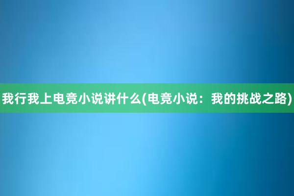 我行我上电竞小说讲什么(电竞小说：我的挑战之路)