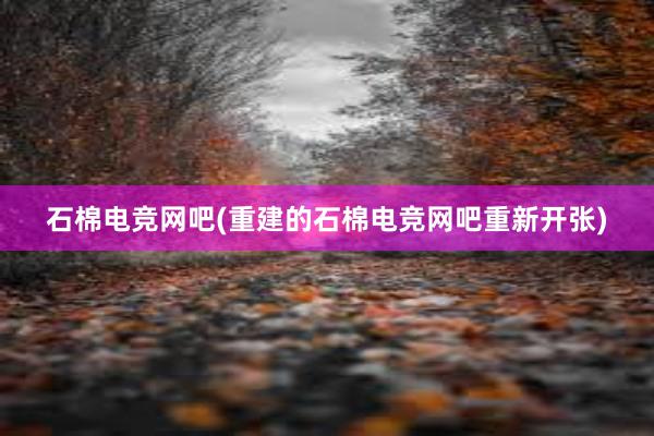 石棉电竞网吧(重建的石棉电竞网吧重新开张)