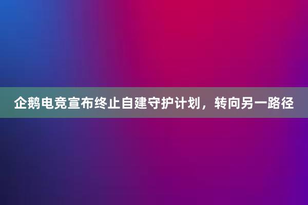 企鹅电竞宣布终止自建守护计划，转向另一路径