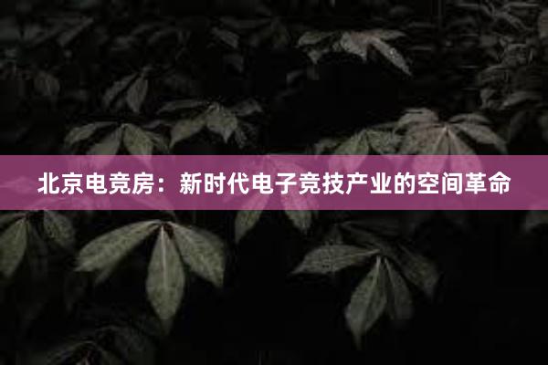 北京电竞房：新时代电子竞技产业的空间革命