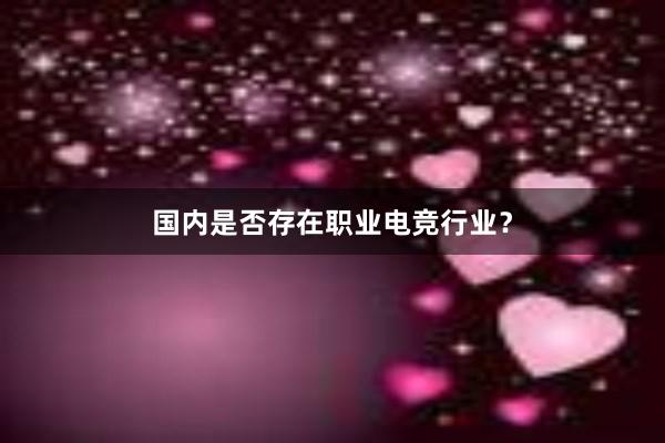 国内是否存在职业电竞行业？