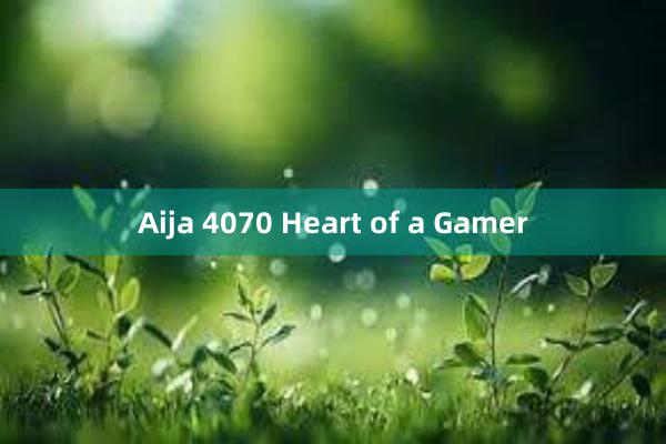 Aija 4070 Heart of a Gamer