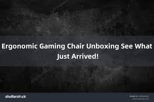 Ergonomic Gaming Chair Unboxing See What Just Arrived!