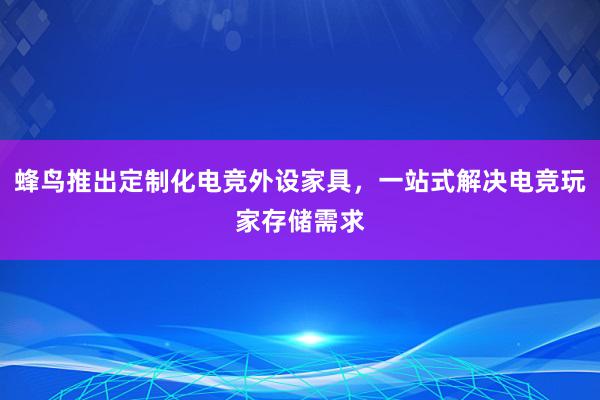 蜂鸟推出定制化电竞外设家具，一站式解决电竞玩家存储需求