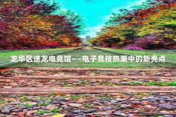 龙华区速龙电竞馆——电子竞技热潮中的新亮点